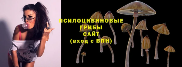 синтетический гашиш Киреевск